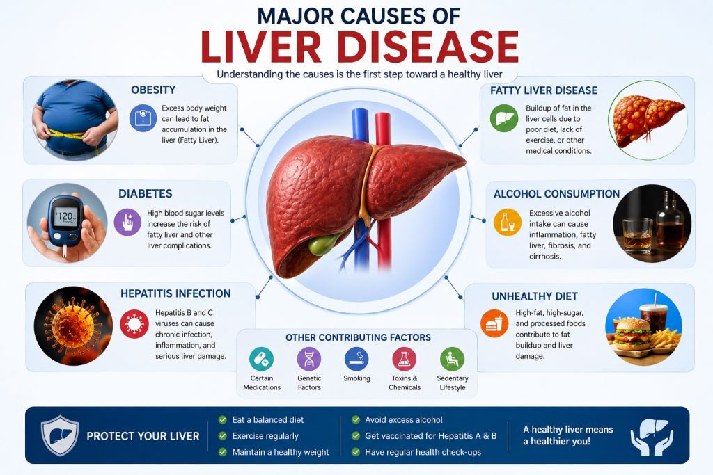 Causes of liver disease explained