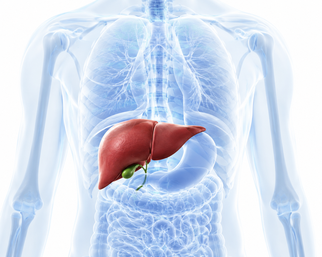 Liver and Gallbladder Symptoms